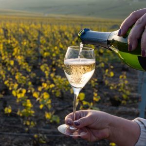 Persona che versa Vini Spumanti e Champagne in un bicchiere con un vigneto sullo sfondo al tramonto.